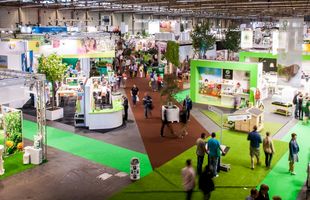 Flanders Expo