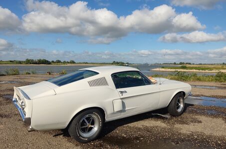 Special Day Drive