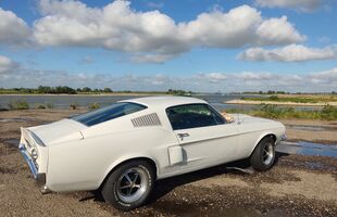 Special Day Drive
