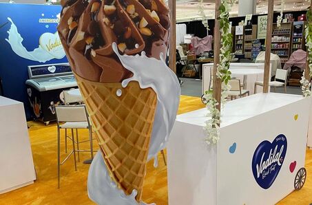 Reveal Marketing Group