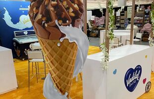 Reveal Marketing Group