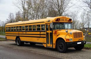 Party Bus Service