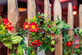 Eventroom - African-Belgian wedding - Foto 2