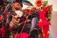 Wonderland voor Hendrick's Gin in de Silo Brussel - Foto 35