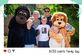 Beestige merkactivatie BOSS Paints in Zoo Planckendael - Foto 2