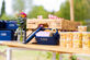 Workmode off: welkom in Ciborland! - Foto 4