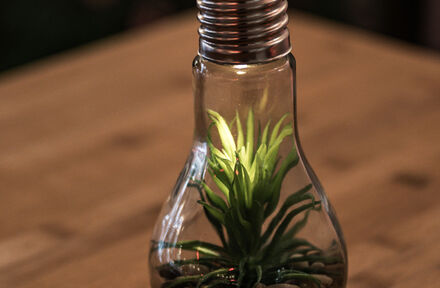 Huwelijk Maaike en Laurens @ Eventroom - Foto 1