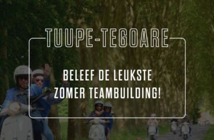 Tuupe-Tegoare - Beleef de leukste zomer teambuilding! - Foto 1