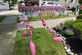 Yard Signs and Party Rentals! - Foto 16