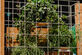 Gastvrij Rotterdam X Van der Maarel Eventstyling - Foto 3